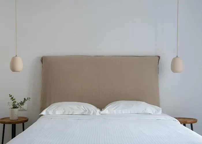 Vienoula's Garden Mykonos Town