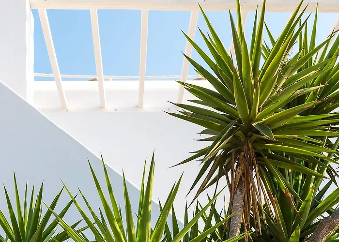 מלון Vienoula's Garden