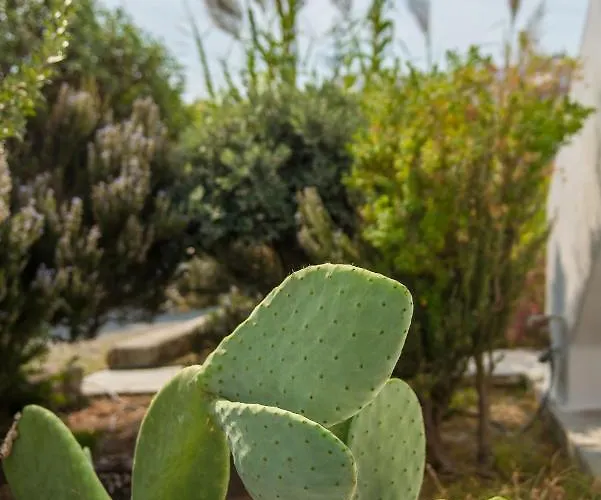 מלון Vienoula's Garden