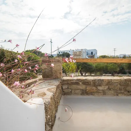 Vienoula's Garden Mykonos Town