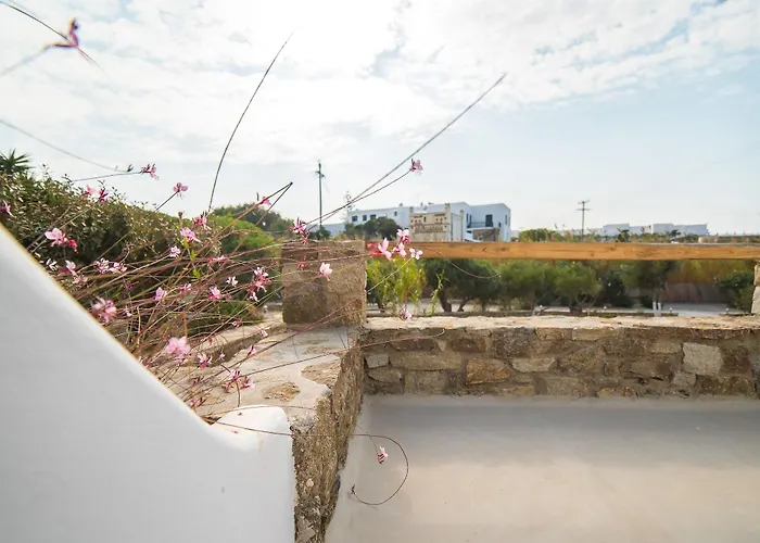 Vienoula's Garden Mykonos Town