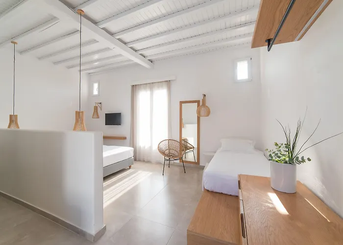 酒店 韦恩诺拉花园酒店 Mykonos Town