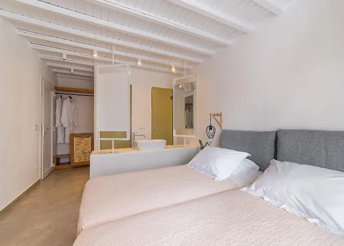 韦恩诺拉花园酒店 4* Mykonos Town